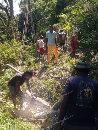 Volunteers cutting away branches and vegetation after a slide