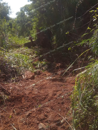 Forest path partially collapsed and cleared by villagers