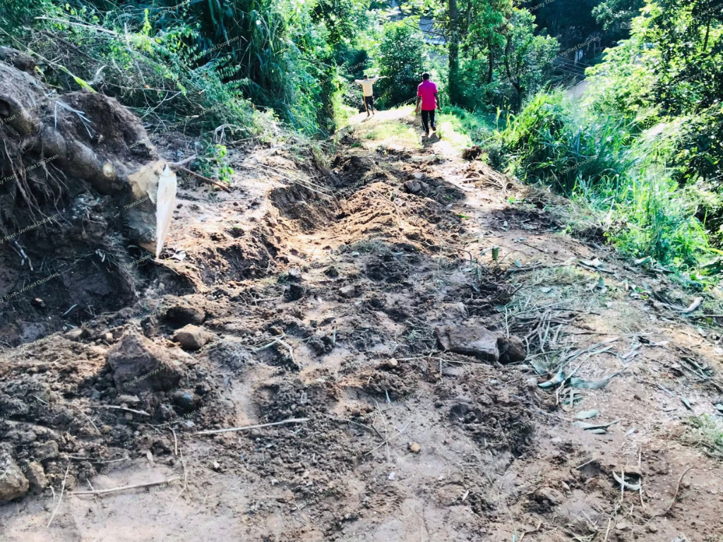 Footpath destroyed by soil erosion and tree debris