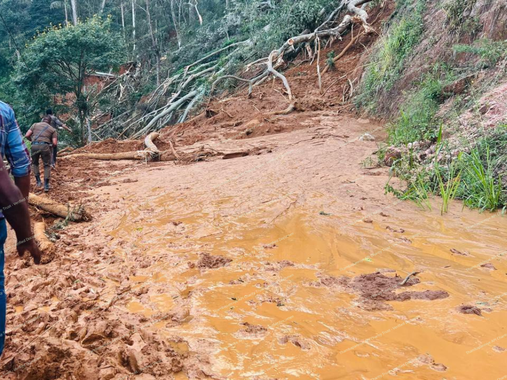 Large uprooted tree and landslide with residents assessing damage