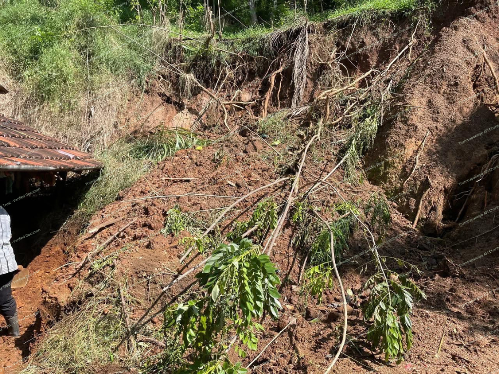 Backyard collapse with uprooted vegetation and loosened soil